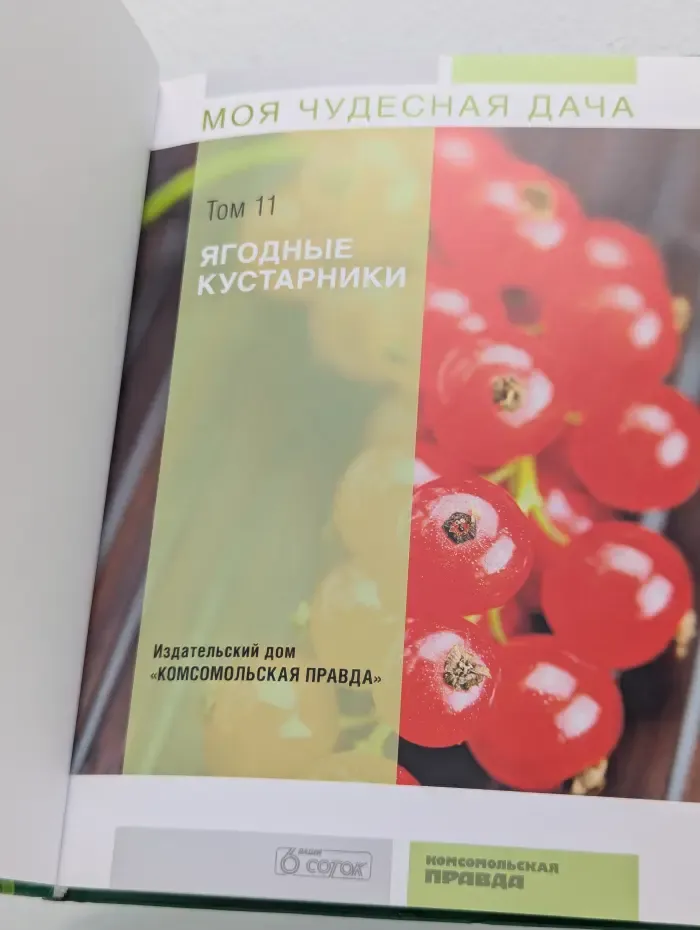 Моя чудесная дача. Том 11. Ягодные кустарники