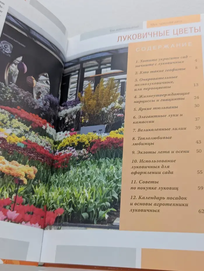 Моя чудесная дача. Том 19. Луковичные цветы