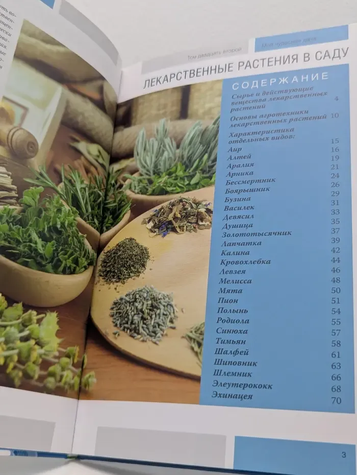 Моя чудесная дача. Том 22. Лекарственные растения в саду