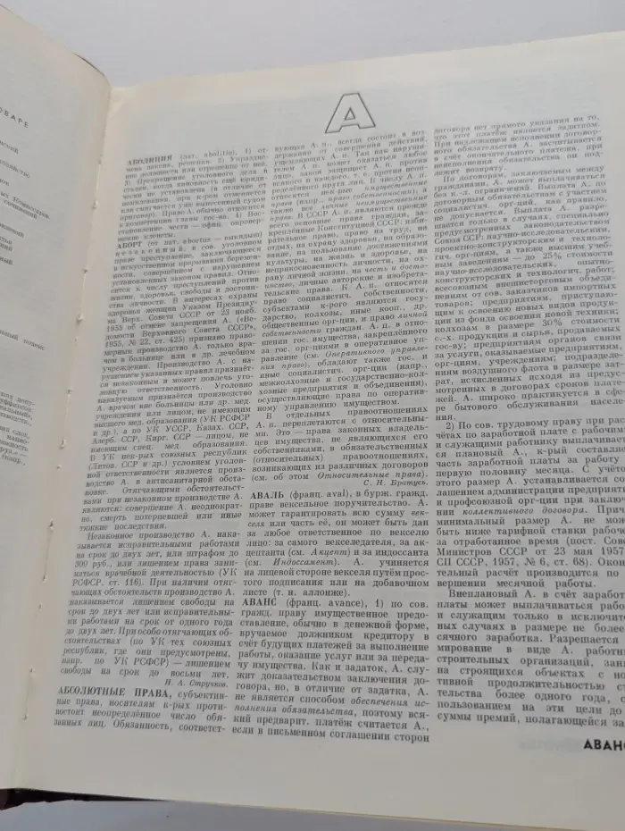 Юридический энциклопедический словарь
