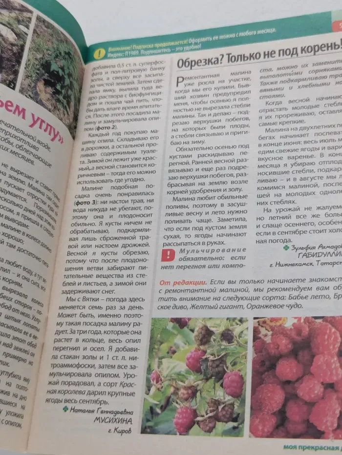 Моя прекрасная дача. Выпуск № 2/2022