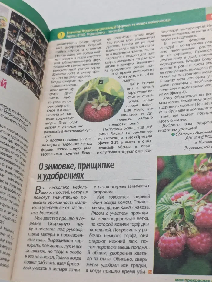 Моя прекрасная дача. Выпуск № 4/2022