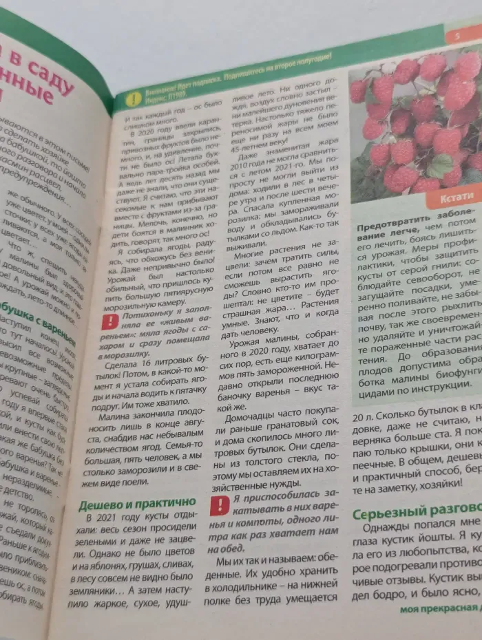 Моя прекрасная дача. Выпуск № 10/2022
