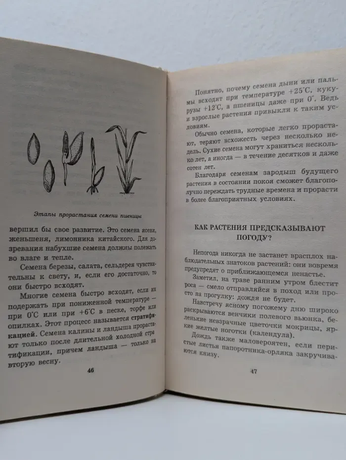 Я познаю мир. Растения