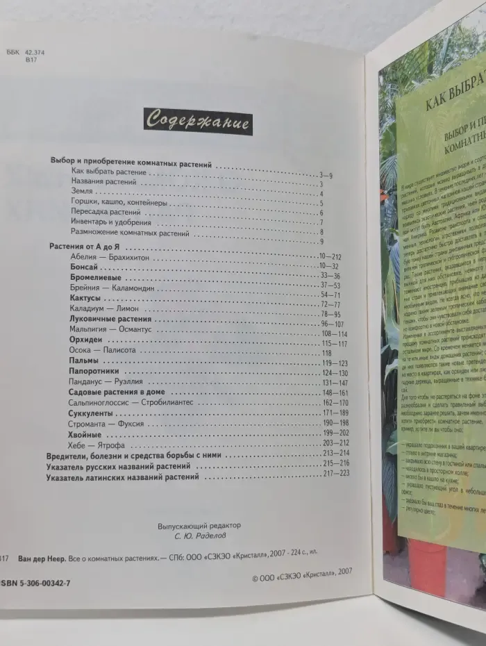 Всё о комнатных растениях