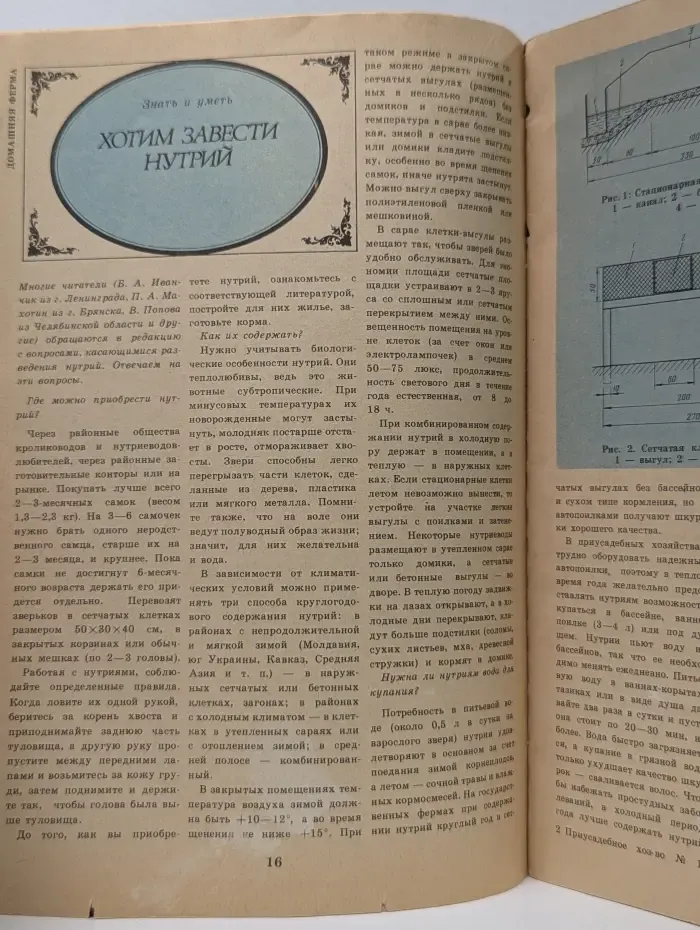 Приусадебное хозяйство. Выпуск № 1/1985