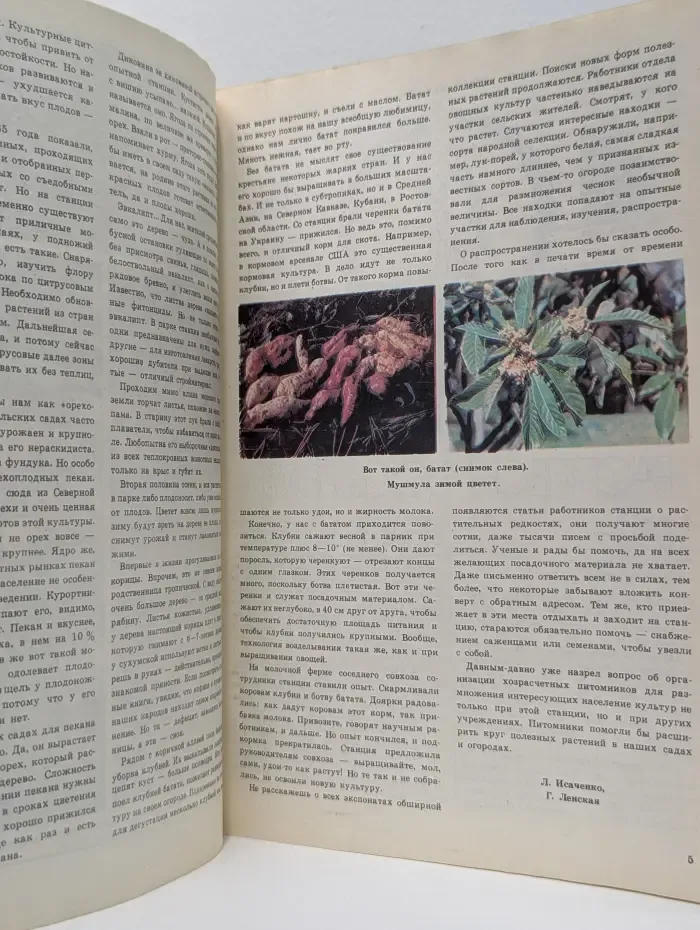 Приусадебное хозяйство. Выпуск № 3/1986