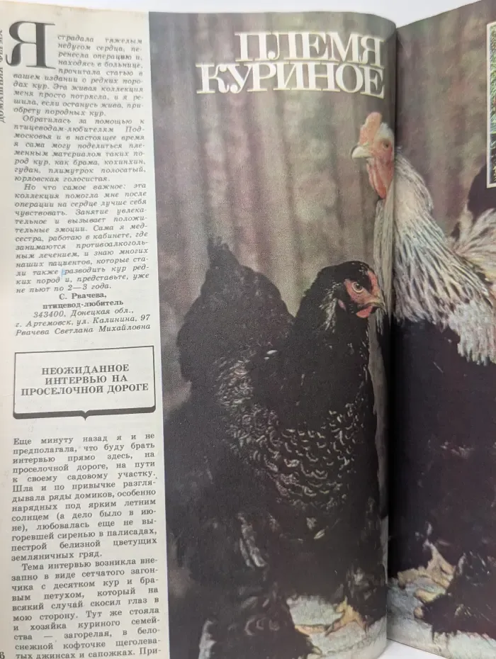 Приусадебное хозяйство. Выпуск № 1/1983