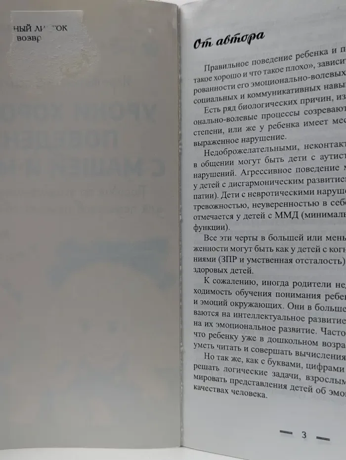 Школа развития. Уроки хорошего поведения с Машей и Мишей