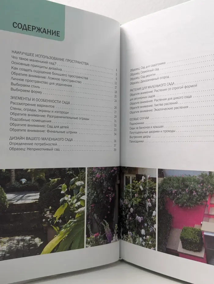 Наш сад. Маленький сад