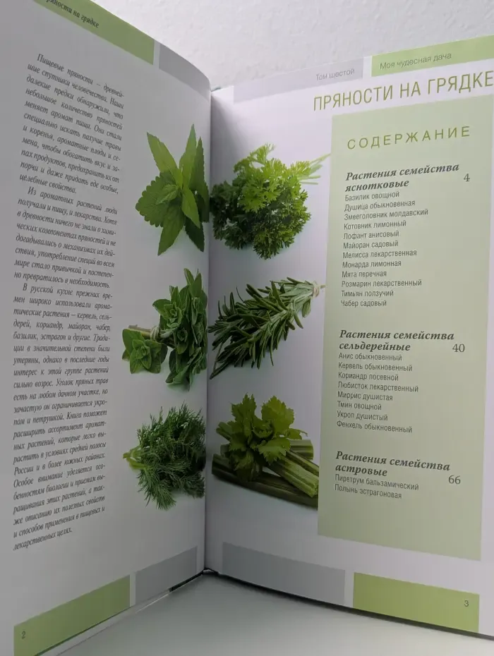 Моя чудесная дача. Том 6. Пряности на грядке