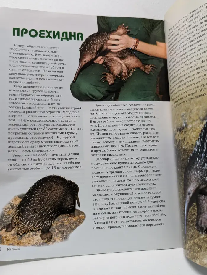 Свирель. Детский экологический журнал. Выпуск № 5/2018