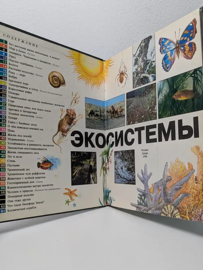 Экосистемы. Окно в мир