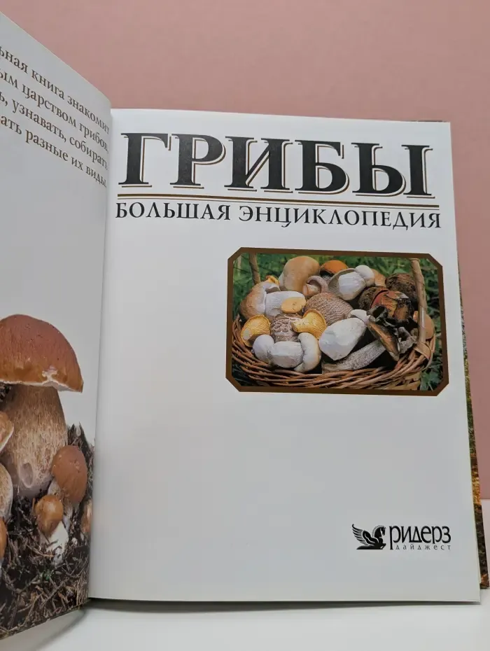 Грибы. Большая энциклопедия