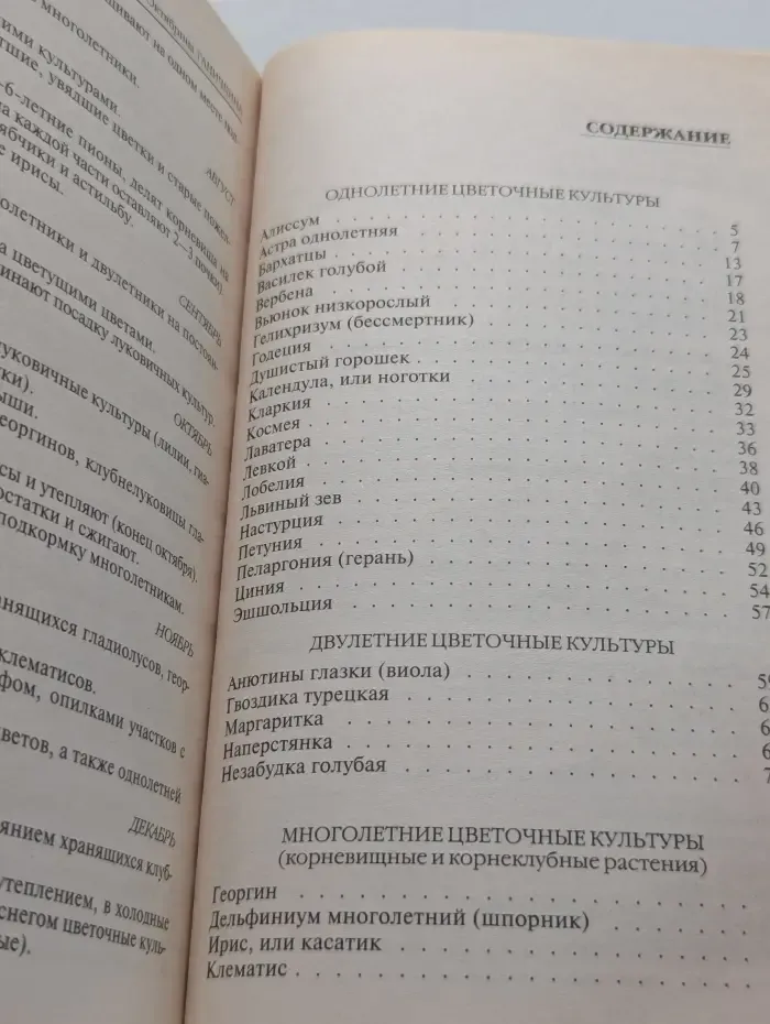 Моим цветоводам