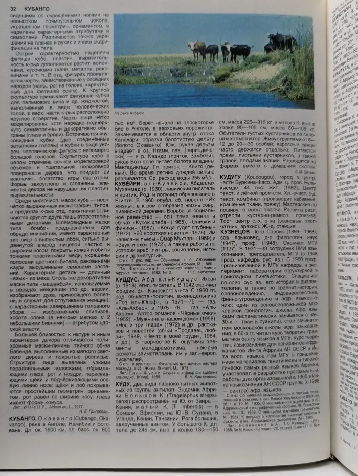 Африка. Энциклопедический справочник. Том 2. К-Я