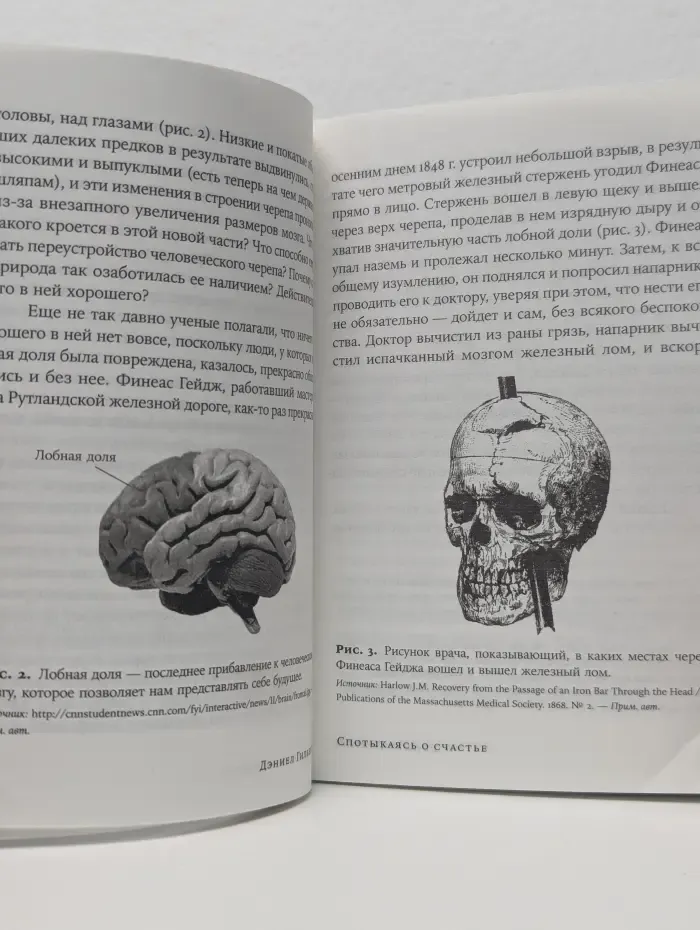 Спотыкаясь о счастье