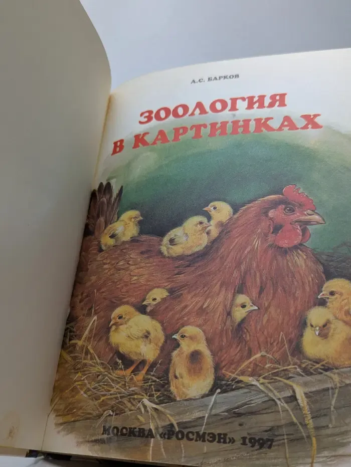 Зоология в картинках