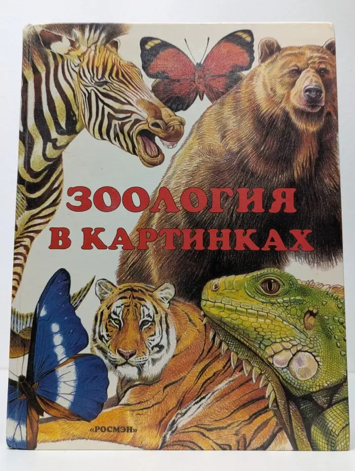 Зоология в картинках