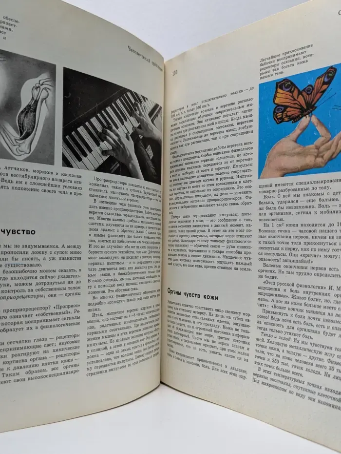 Детская энциклопедия. Том 7. Человек