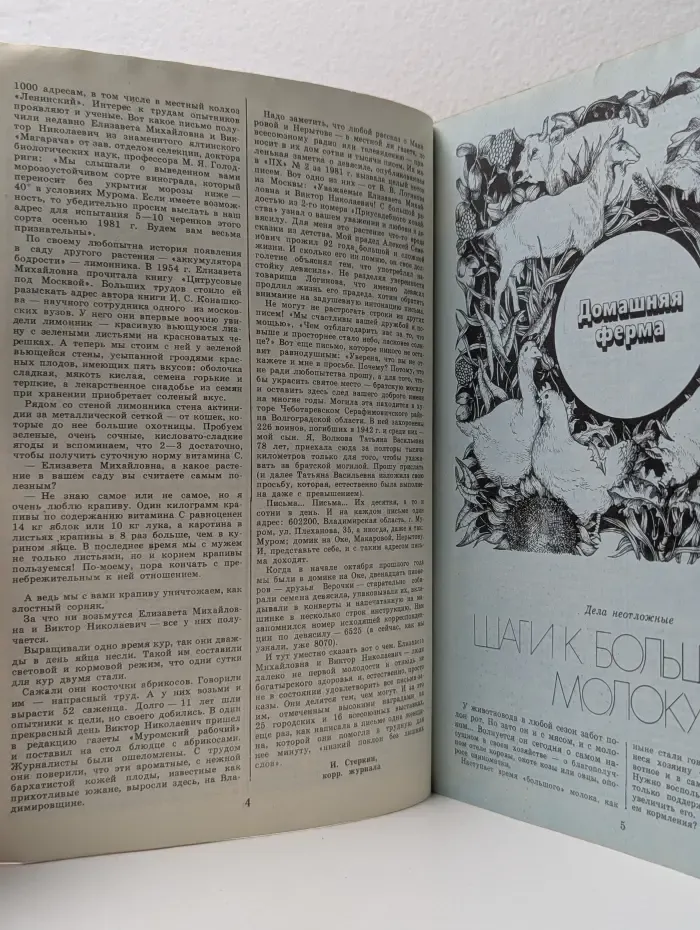 Приусадебное хозяйство. Выпуск № 1/1982