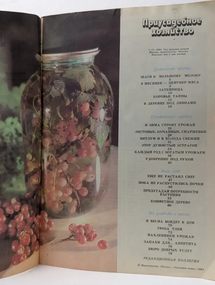 Приусадебное хозяйство. Выпуск № 1/1982