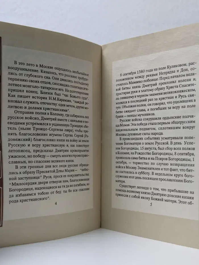 Библиотека нравственного чтения. Богоматерь Донская