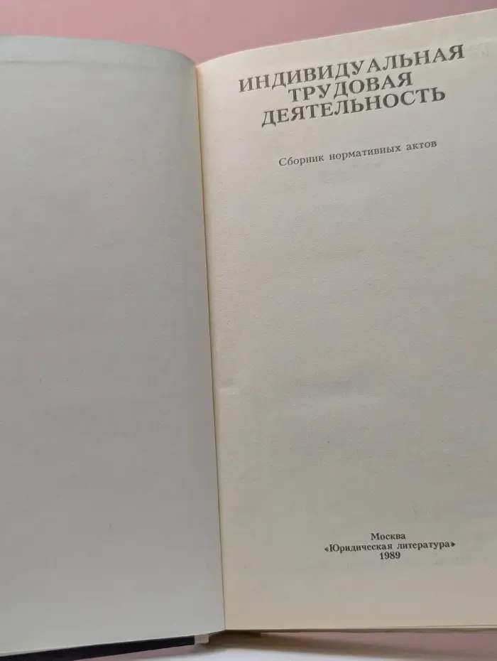 Индивидуальная трудовая деятельность