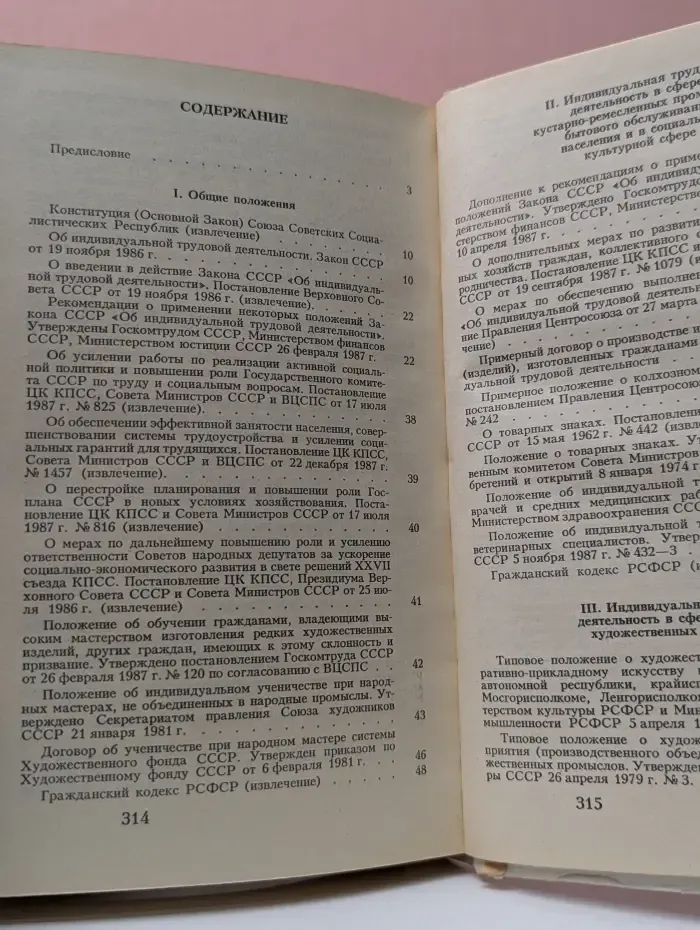 Индивидуальная трудовая деятельность