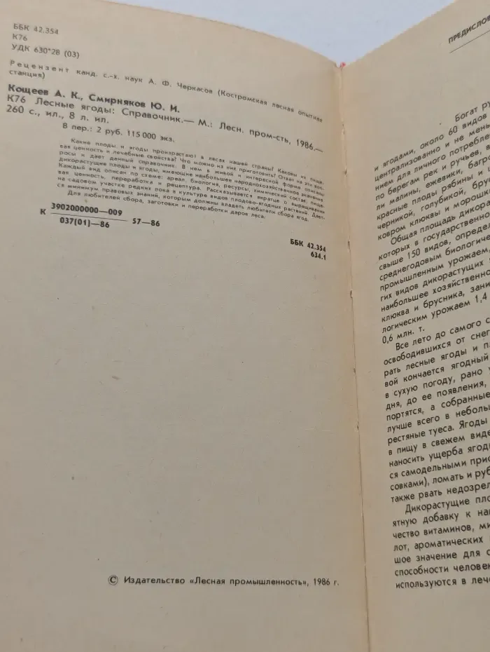Лесные ягоды