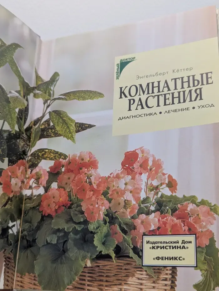 Зеленый доктор. Комнатные растения. Диагностика, лечение, уход