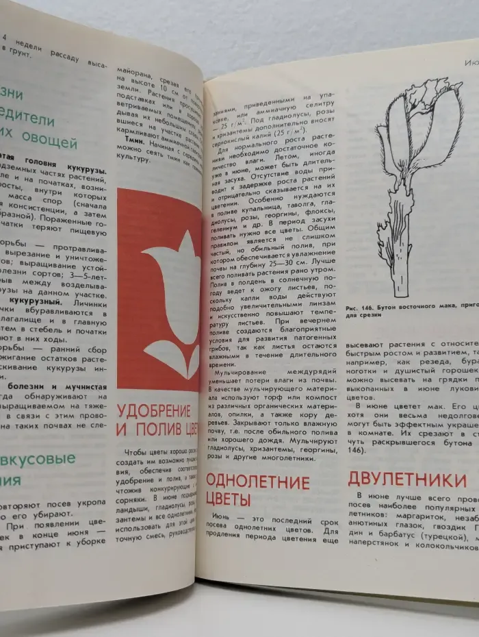 Год на садовом участке