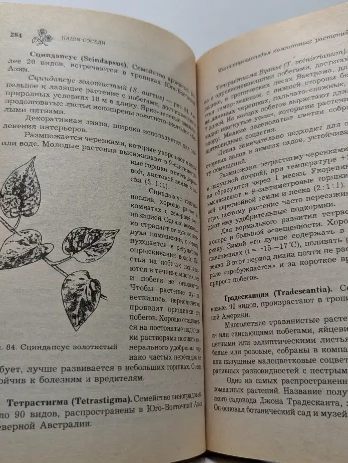 Все о цветах