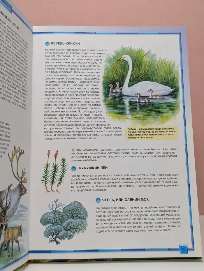 Новый атлас природы России