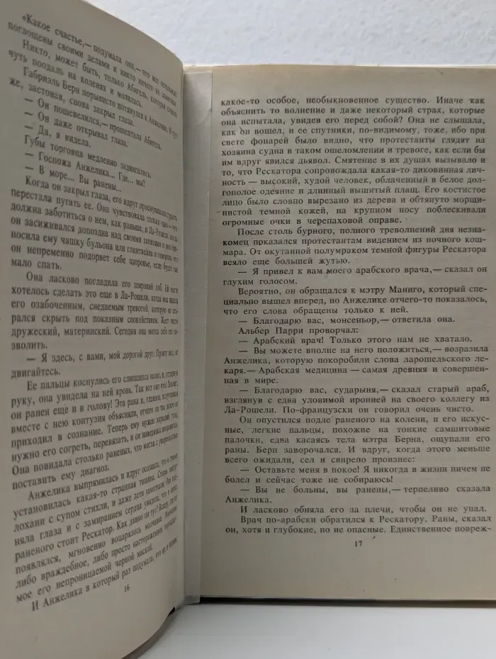 Любовь Анжелики. Роман в 2 книгах. Книга 1