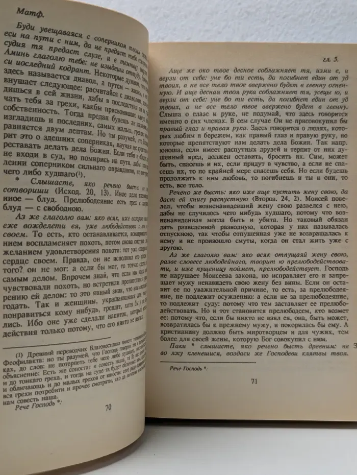 Благовестник, или Толкование блаженного Феофилакта, архиепископа Болгарского, на Святое Евангелие. В 2 частях. Часть 1