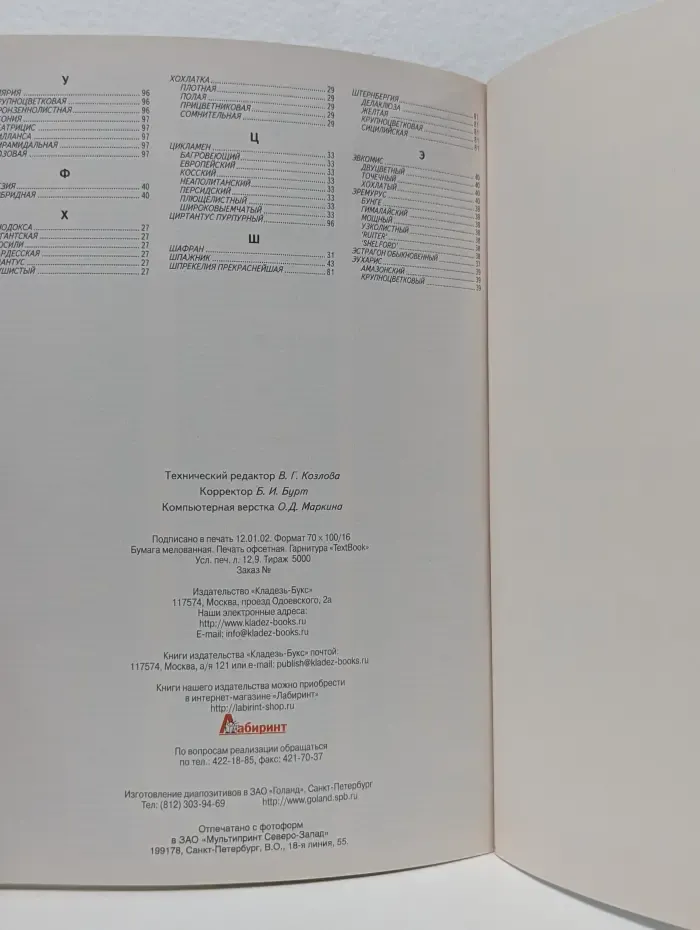 Все о луковичных растениях