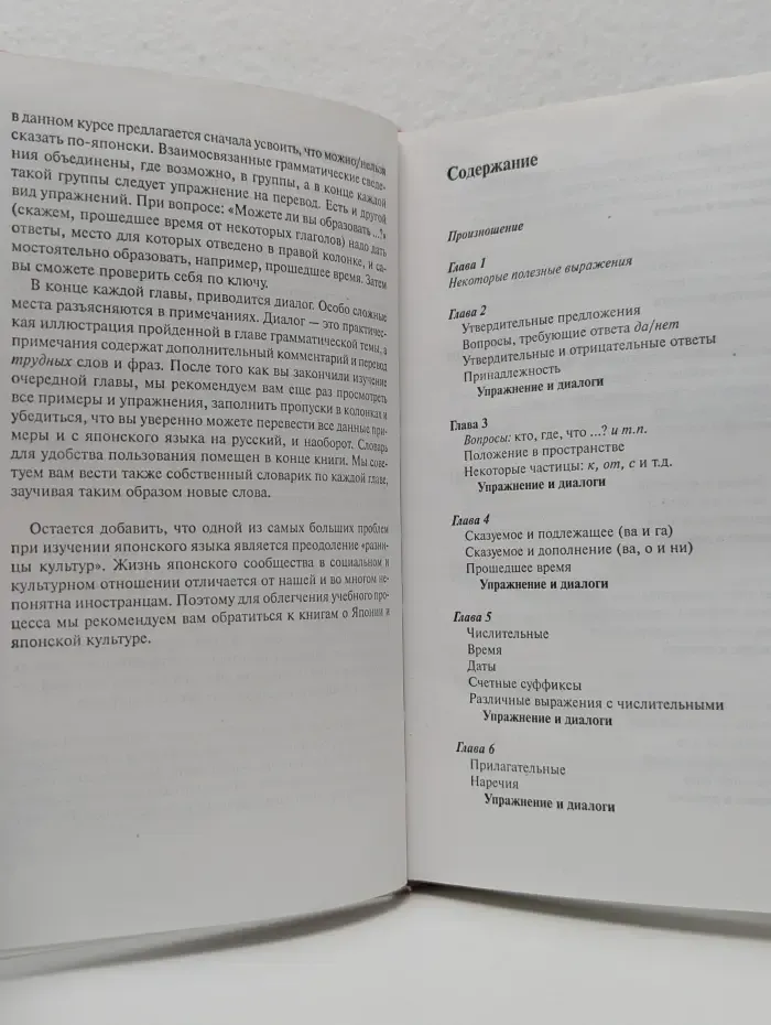 Японский за три месяца
