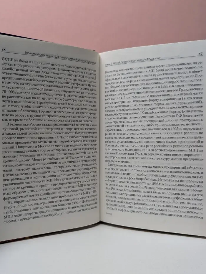 Практика менеджмента. Экономический анализ для руководителей малых предприятий