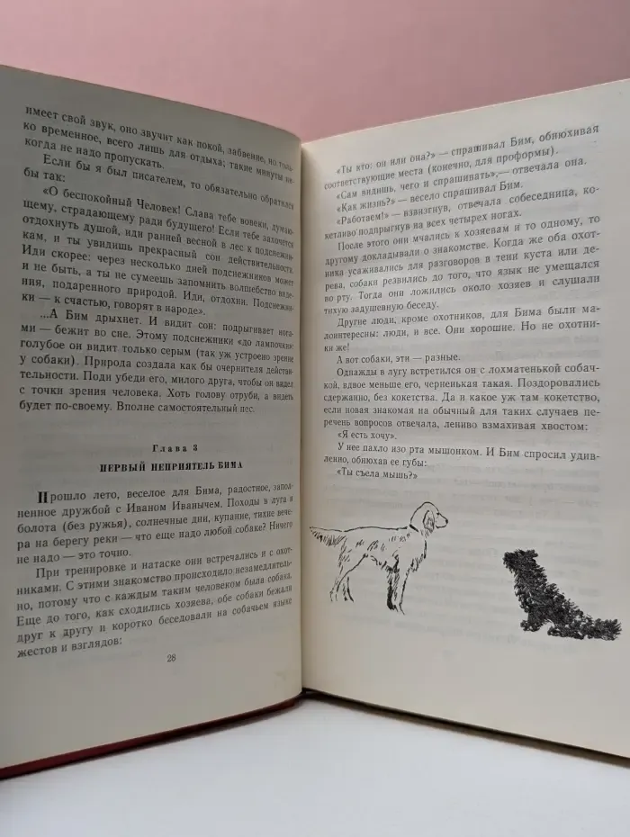 Белый Бим Черное ухо
