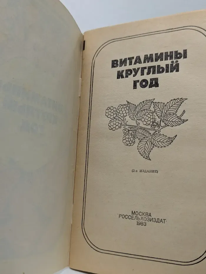 Витамины круглый год