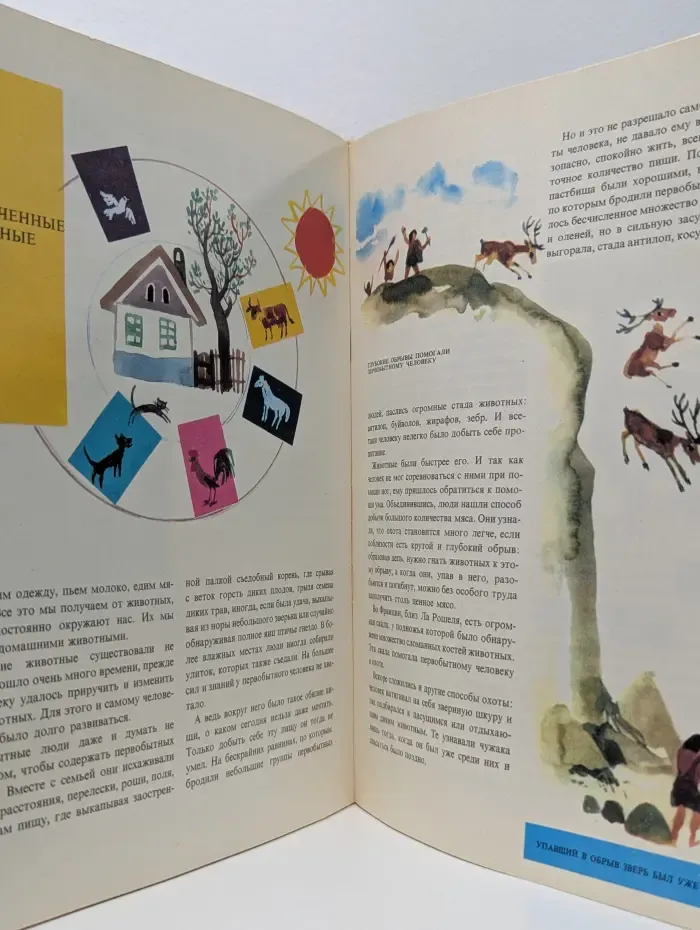 Мир и человек. Иллюстрированная детская энциклопедия