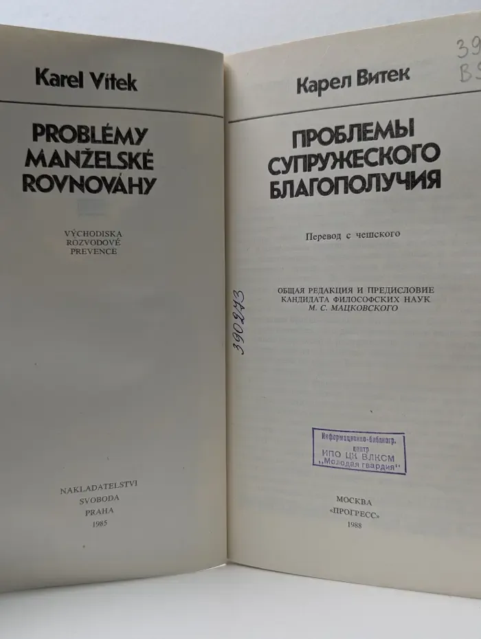 Проблемы супружеского благополучия