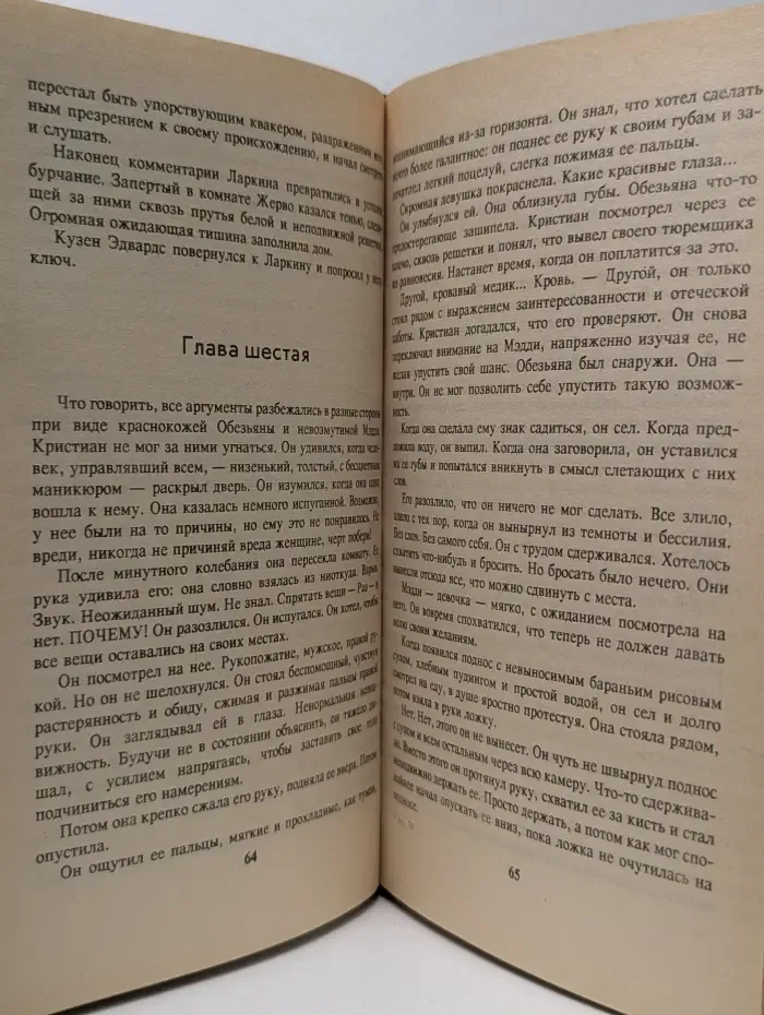 Алая роза. Цветы из бури