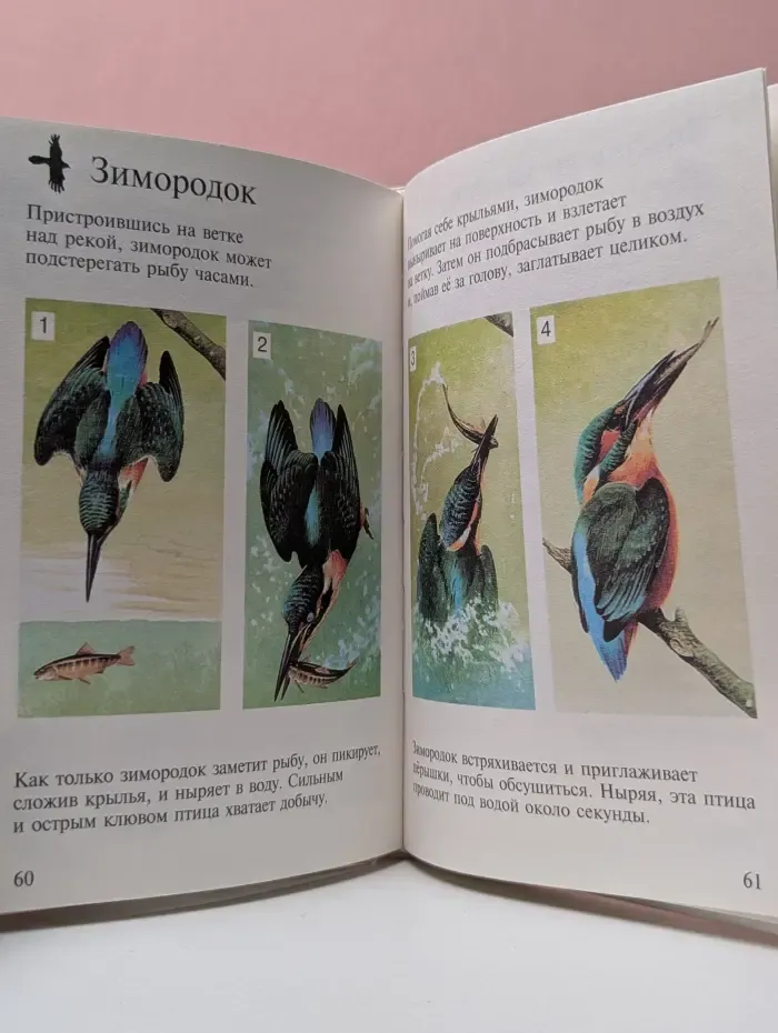 Моя первая энциклопедия LAROUSSE. Животные