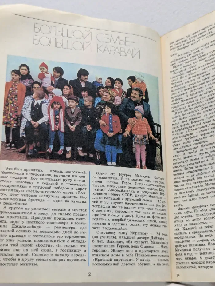 Приусадебное хозяйство. Выпуск 3/1982
