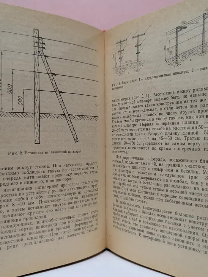Сад и огород
