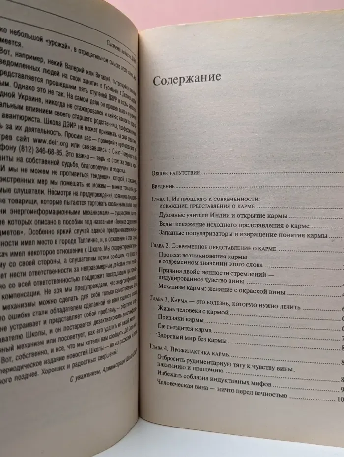 Система навыков ДЭИР. Терапия истинной кармы