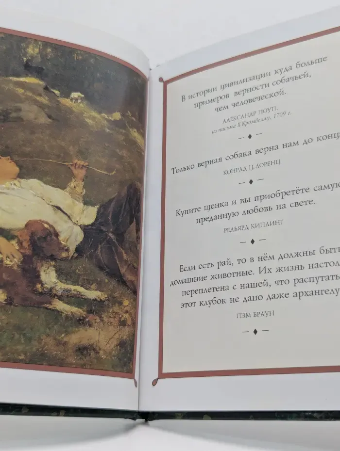 Собаки высказывания. Сборник симпатичных картинок и остроумных наблюдений