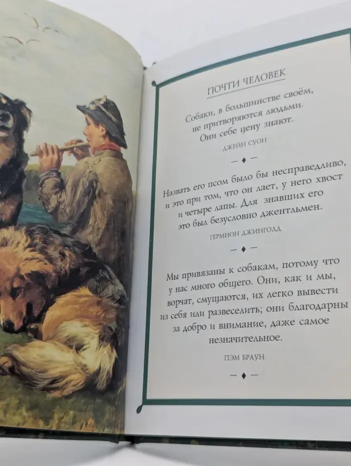 Собаки. Высказывания